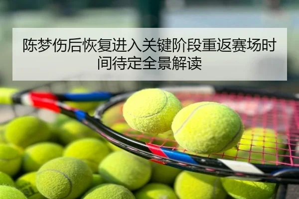 陈梦伤后恢复进入关键阶段重返赛场时间待定全景解读
